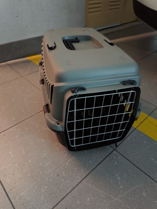 Gateira transporte como nova