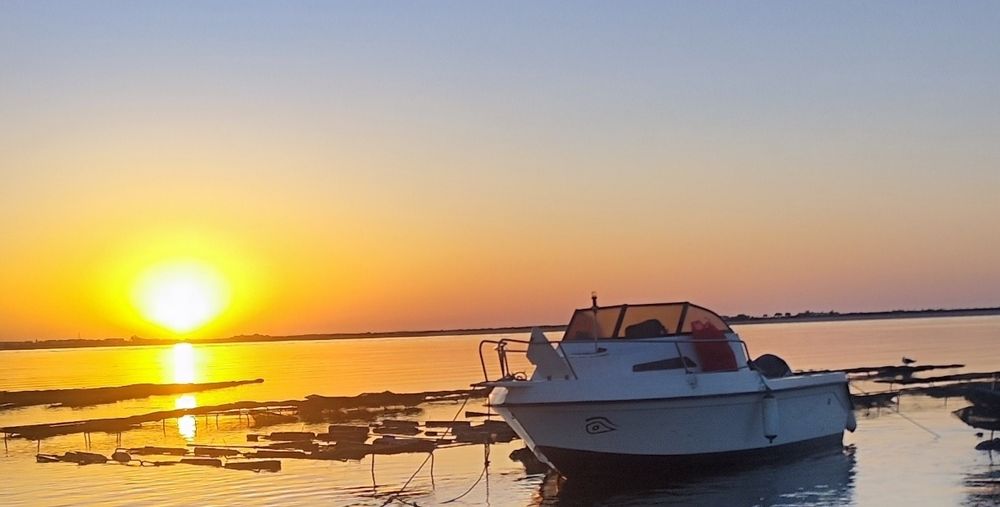 FibraMar Estelas 5,5m + Suzuki 90hp 4t