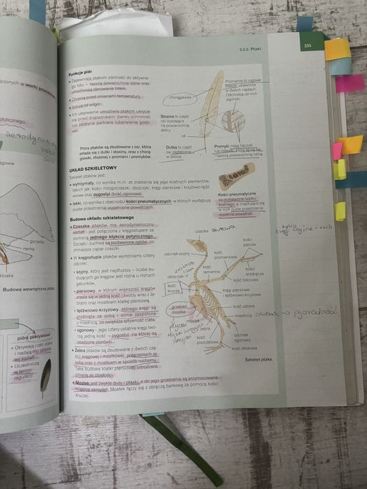 Nowa era biologia repretytorium