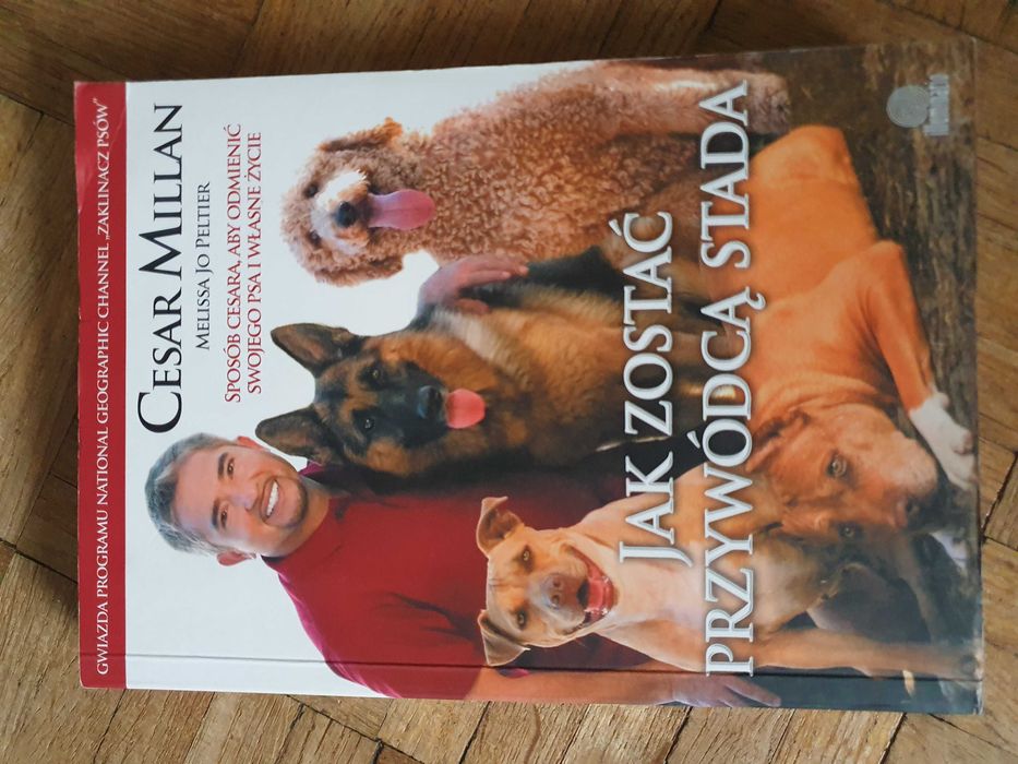 SUPER STAN Cesar Millan, Jak Zostać/Jak Uszczęślowic/Zaklinacz