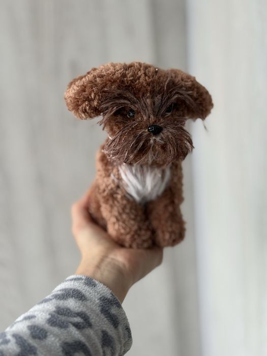 Іграшкова мальтіпу сувенір