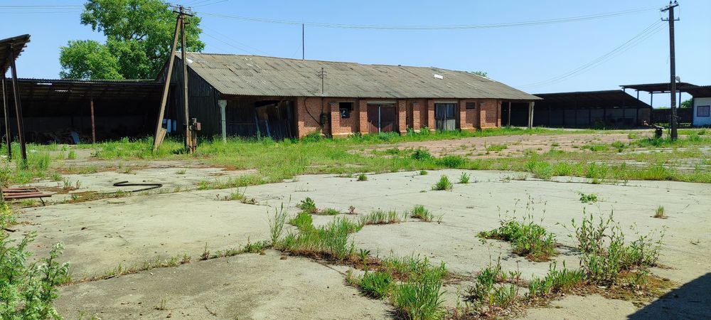 Виробниче приміщення, приміщення комори, зерносклад