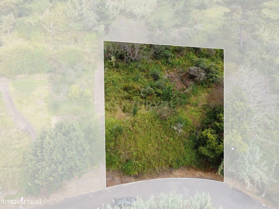 Terreno Rústico nas Faias, Arco da Calheta - Oportunidade Única!