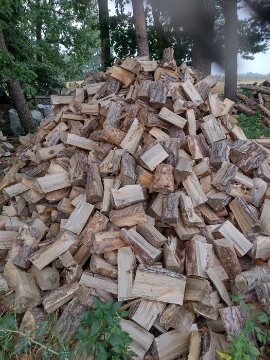 Drewno opałowe kominkowe