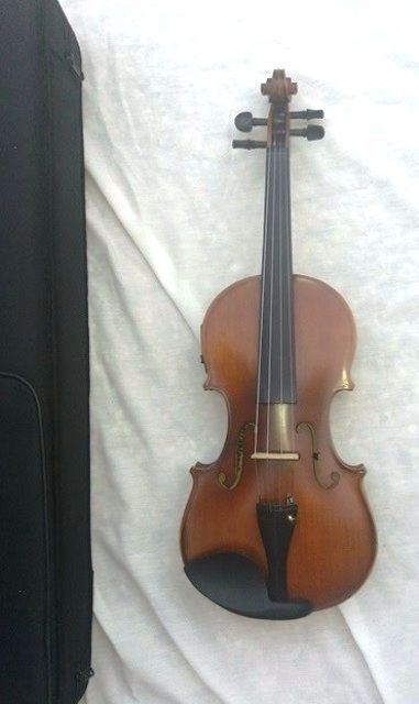 Violino elétrico novo (modelo clássico)