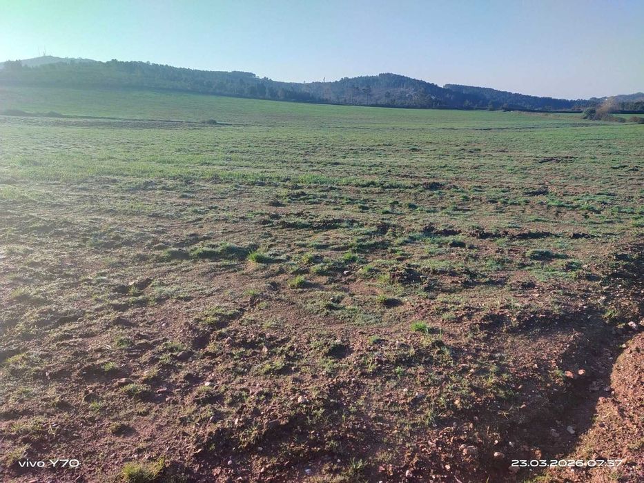 Magnífico monte/herdade, 25 hectares de pura natureza, ideal para quem procura tranquilidade/investimento