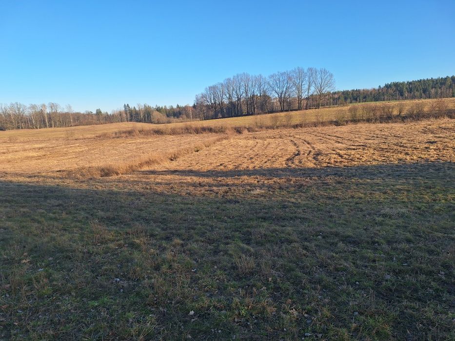 Sprzedam ziemię rolną na Mazurach . - Widok 3