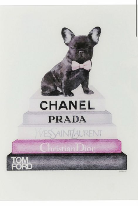 Quadro de vidro Fashion Dog 80X60cm