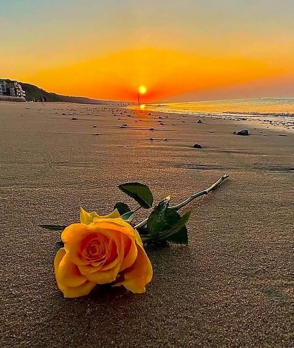 Mieszkanie Magda z dwiema sypialniami w domku w dobrej lokalizacji.