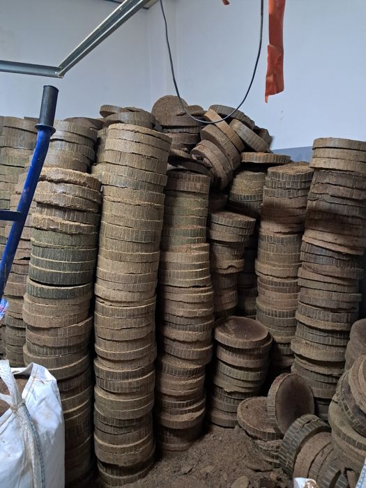 Makuch rzepakowy – świeży, pasza wysokobiałkowa