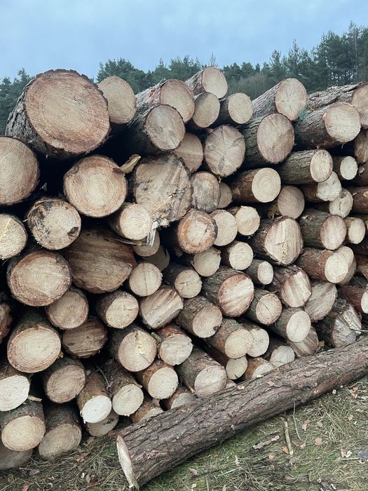 Drewno sosna S2B paletówka