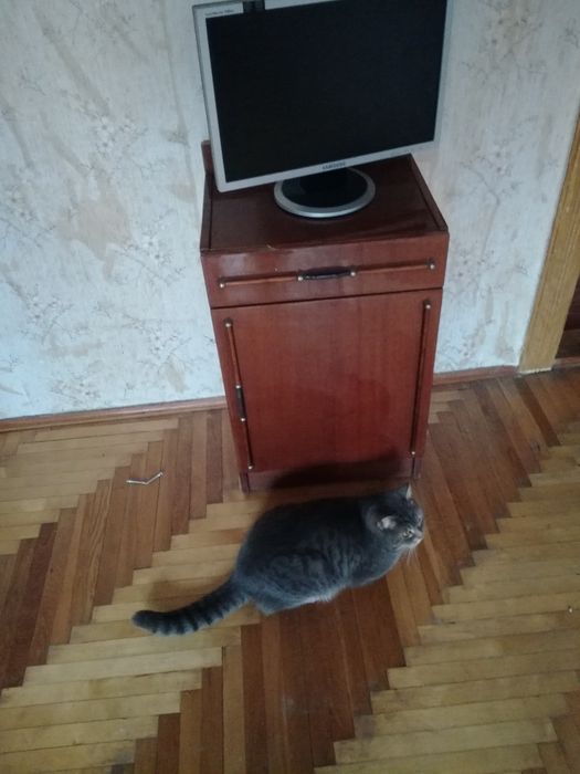 Стінка у вітальню.торг.ТЕРМІНОВО