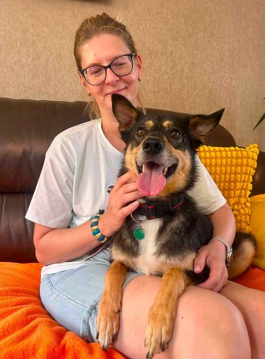 Do adopcji - łagodna Szkocja szuka domu!