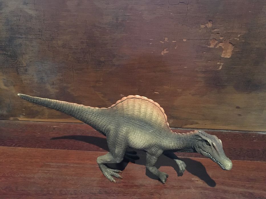 Large Dinosaur64285035966723121