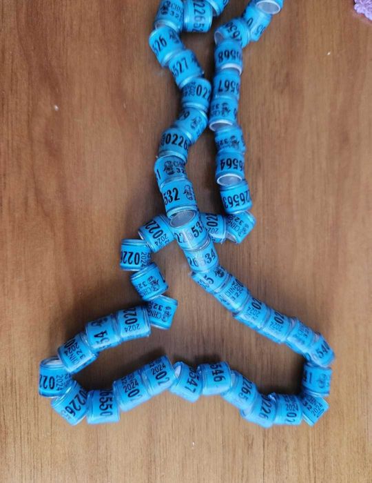 Pack 50 anilhas para pombos 2025