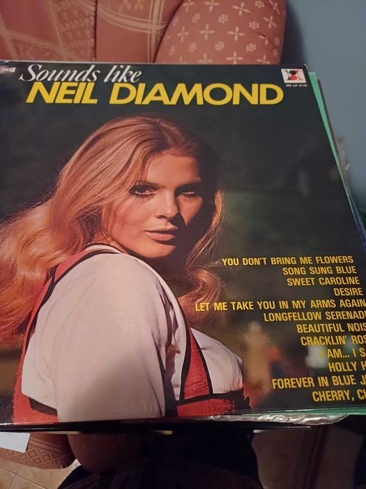 Vários discos de vinil