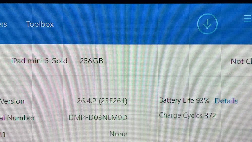iPad mini 5 Gold z etui - 256GB