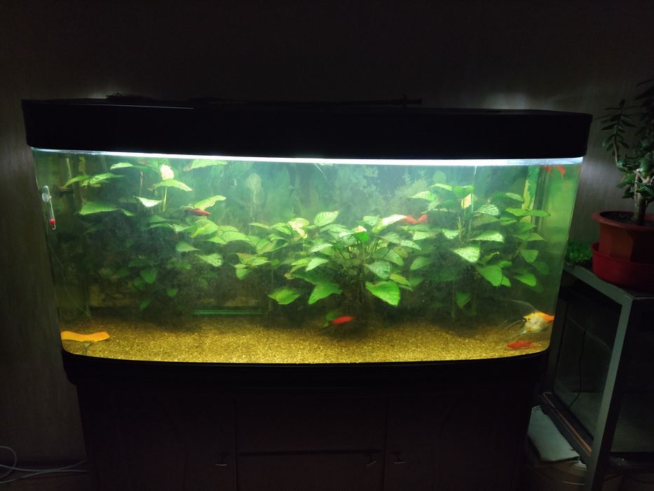 Продам стойки под аквариумы 110,220 л.