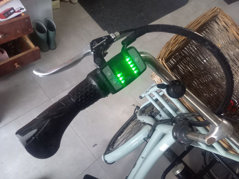 Rower elektryczny batavius cargo