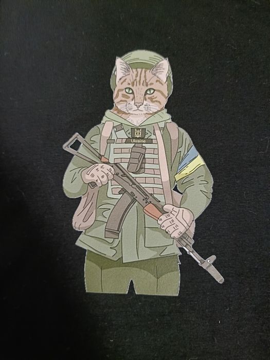 Оригінальна чоловіча футболка українського бренду