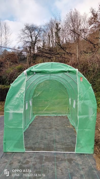 Estufa, hortaliças, plantas