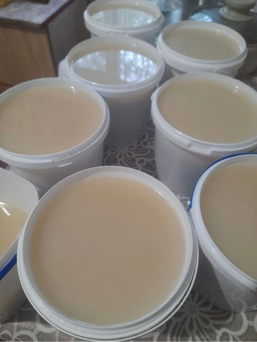 Продам домашний смалец – оптом и в розницу