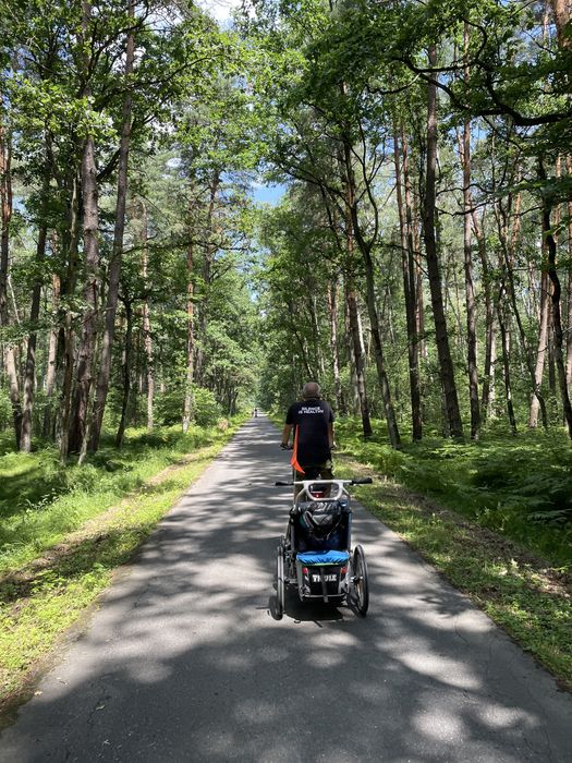 Wózek/przyczepka rowerowa Thule Chariott CX