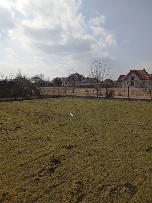 Wertykulacja trawnika aeracja