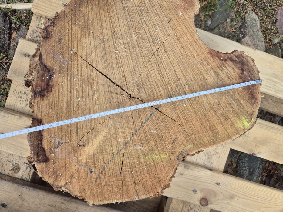 Plaster drewna ,akacja