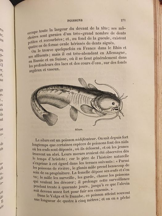 A Cultura da Água. La Culture de l´Eau (1870)