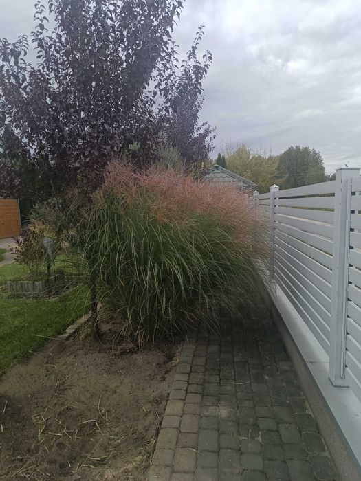 Duża trawa ozdobna 170 cm 2 szt