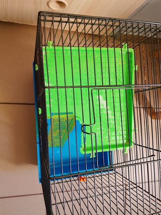 Klatka dla chomika myszki