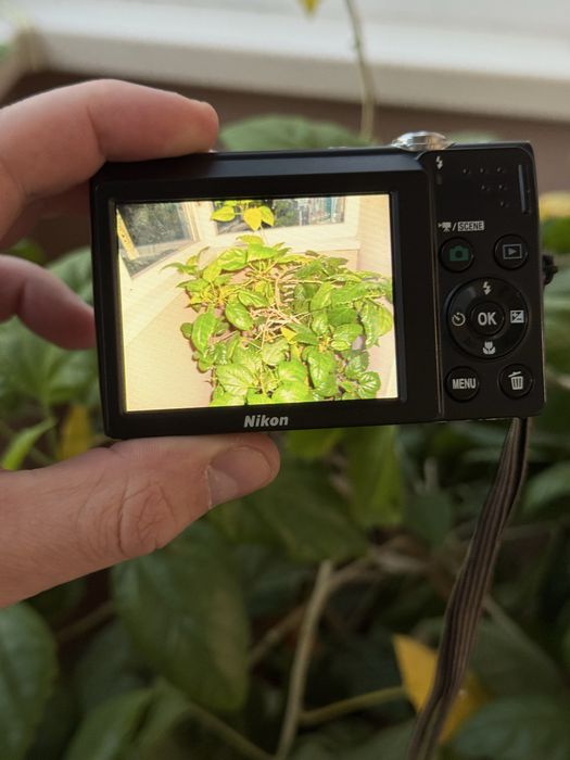 nikon coolpix s2500 - купити фототехніку, відеотехніку - Ціна на