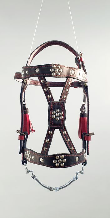 Наголовник на коня з китечками