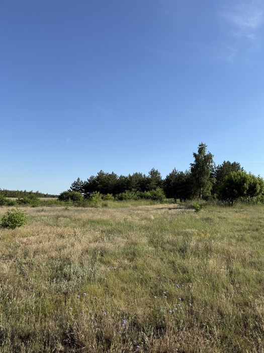 Działka budowlana , warunki zabudowy,lasek