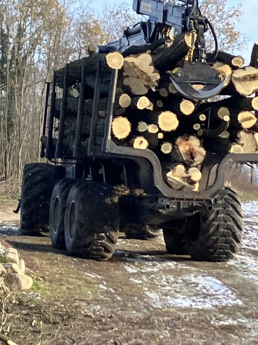 Usługi mulczowanie glebogryzarka wycinka drzew wyrywanie korzeni