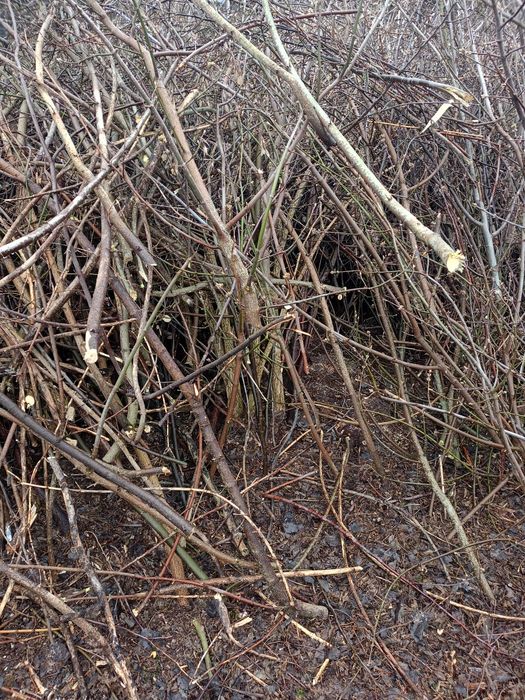 Oddam za darmo na opał