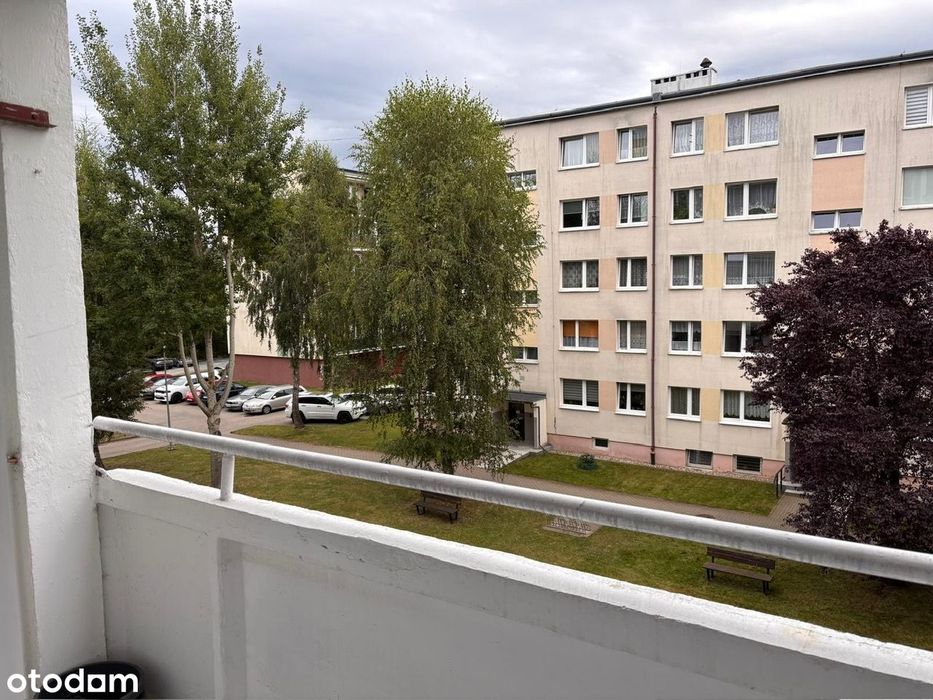 Zdjęcie 8