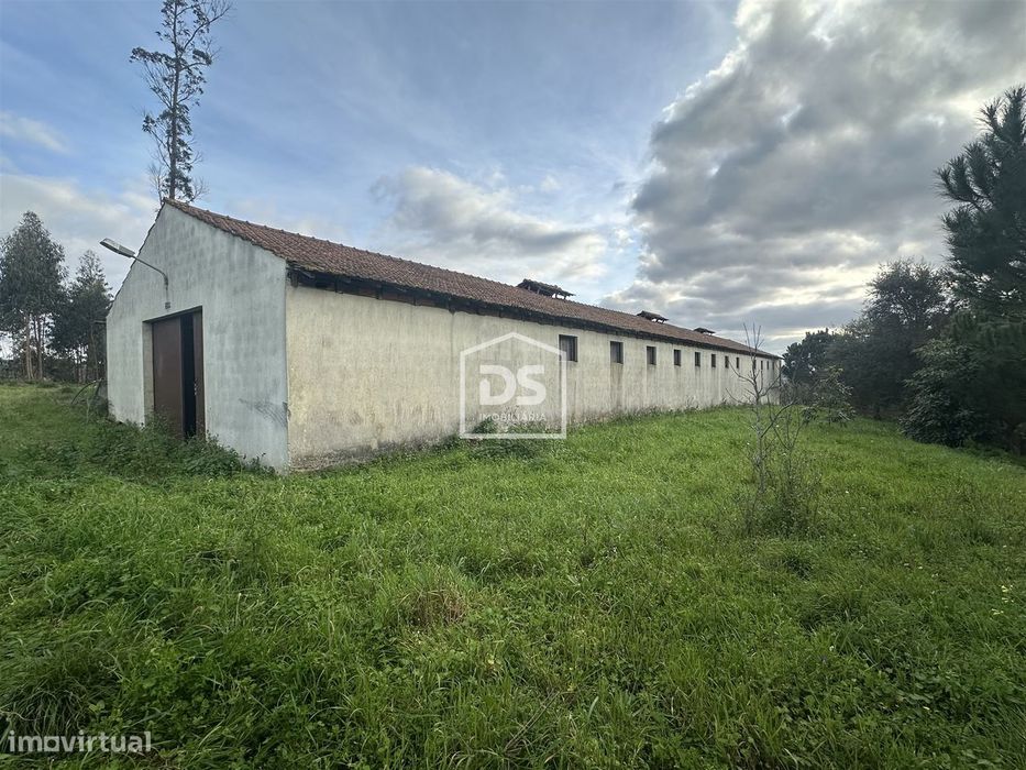 Terreno Misto  Venda em Colmeias e Memória,Leiria