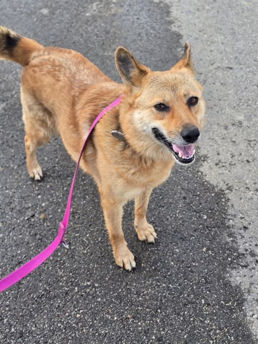 Uśmiechnięta Sally