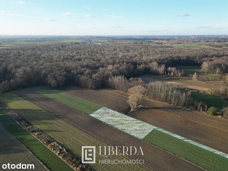 Motycz Leśny - 1412 m2 - okolice Lublina