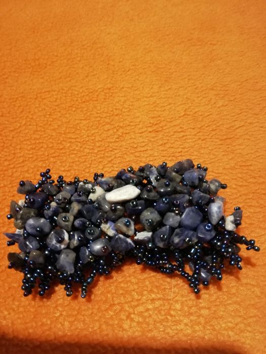 Bijutaria variada