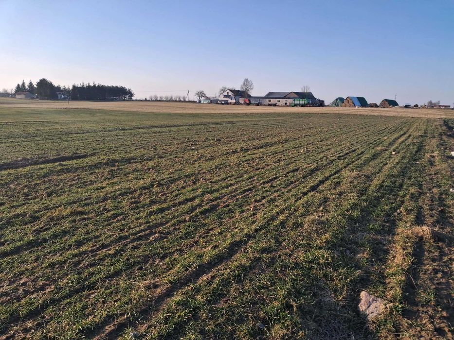 Działki z widokiem na jezioro - Widok 2