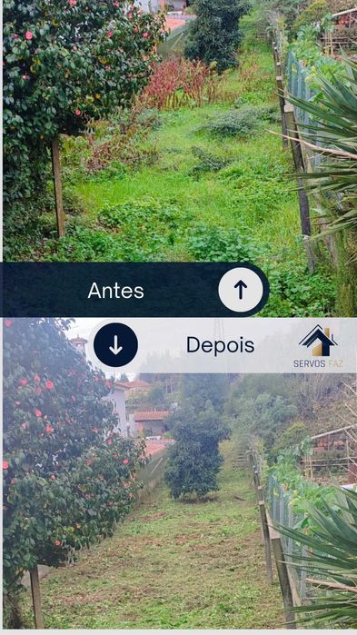 Limpeza de Terrenos e Matos | Águeda e Aveiro – Prevenção Incêndios