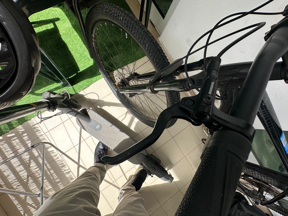 Btt pOrbea onna 10
