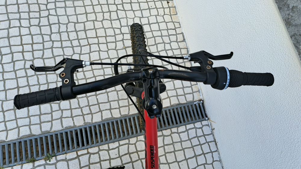 Bicicleta roda 20