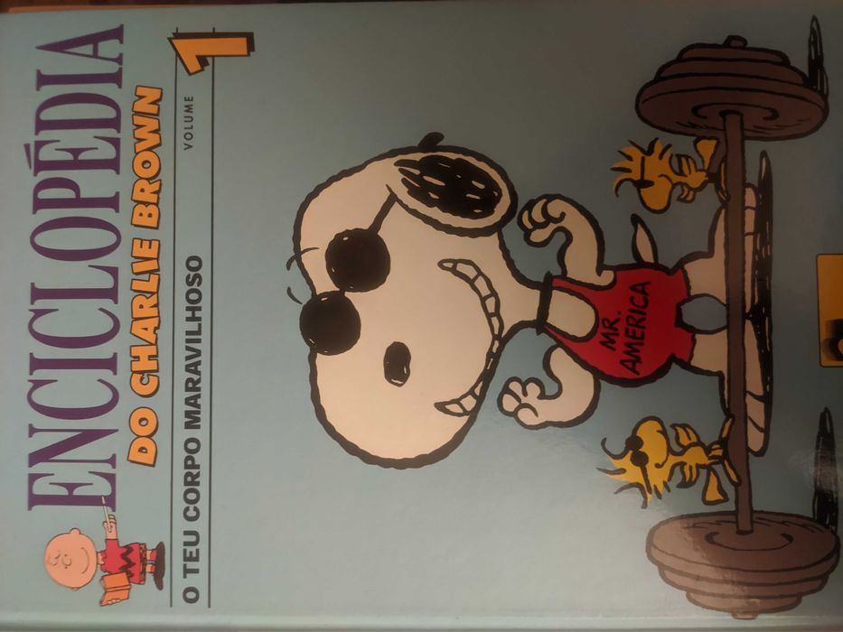 Enciclopédia do Charlie Brown