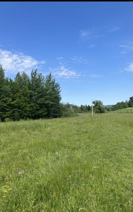 Земельна ділянка (34 сотки) Чернівецька область с. Мигово