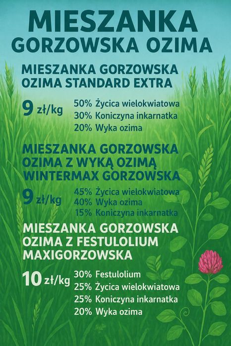 Mieszanka Gorzowska Ozima – wysoki plon i zawartość białka