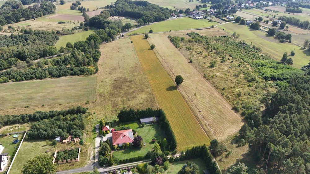 Działki Budowlane - Nowa Kopernia